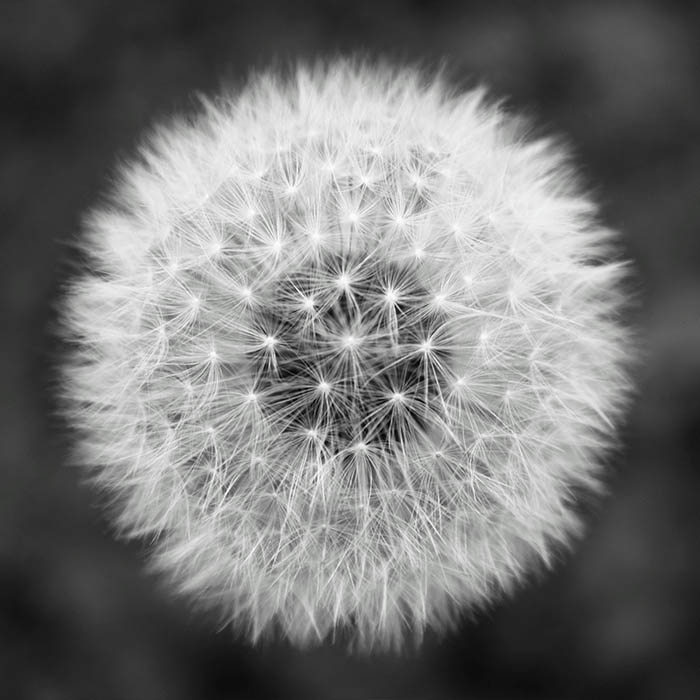 Portfolio Item 7